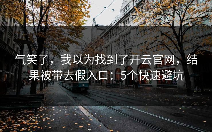 气笑了，我以为找到了开云官网，结果被带去假入口：5个快速避坑