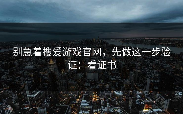 别急着搜爱游戏官网，先做这一步验证：看证书
