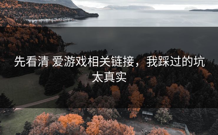 先看清 爱游戏相关链接，我踩过的坑太真实