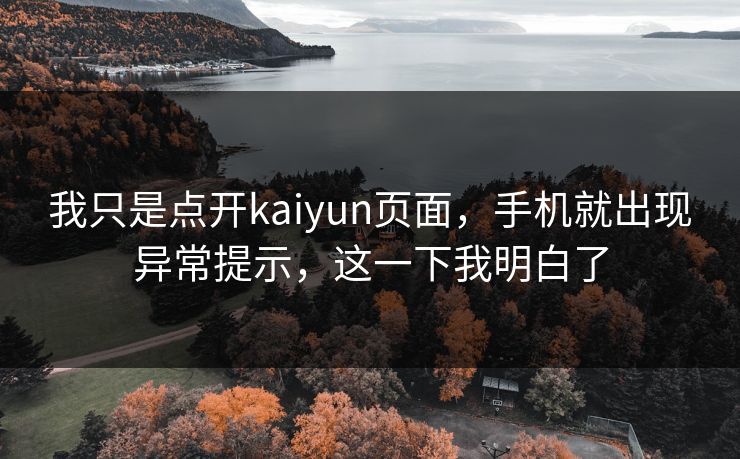 我只是点开kaiyun页面，手机就出现异常提示，这一下我明白了