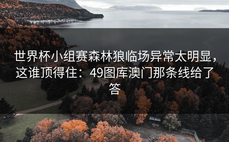 世界杯小组赛森林狼临场异常太明显，这谁顶得住：49图库澳门那条线给了答